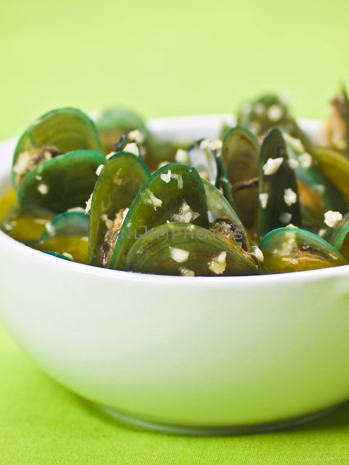 green mussels in garlic sauce by zkruger