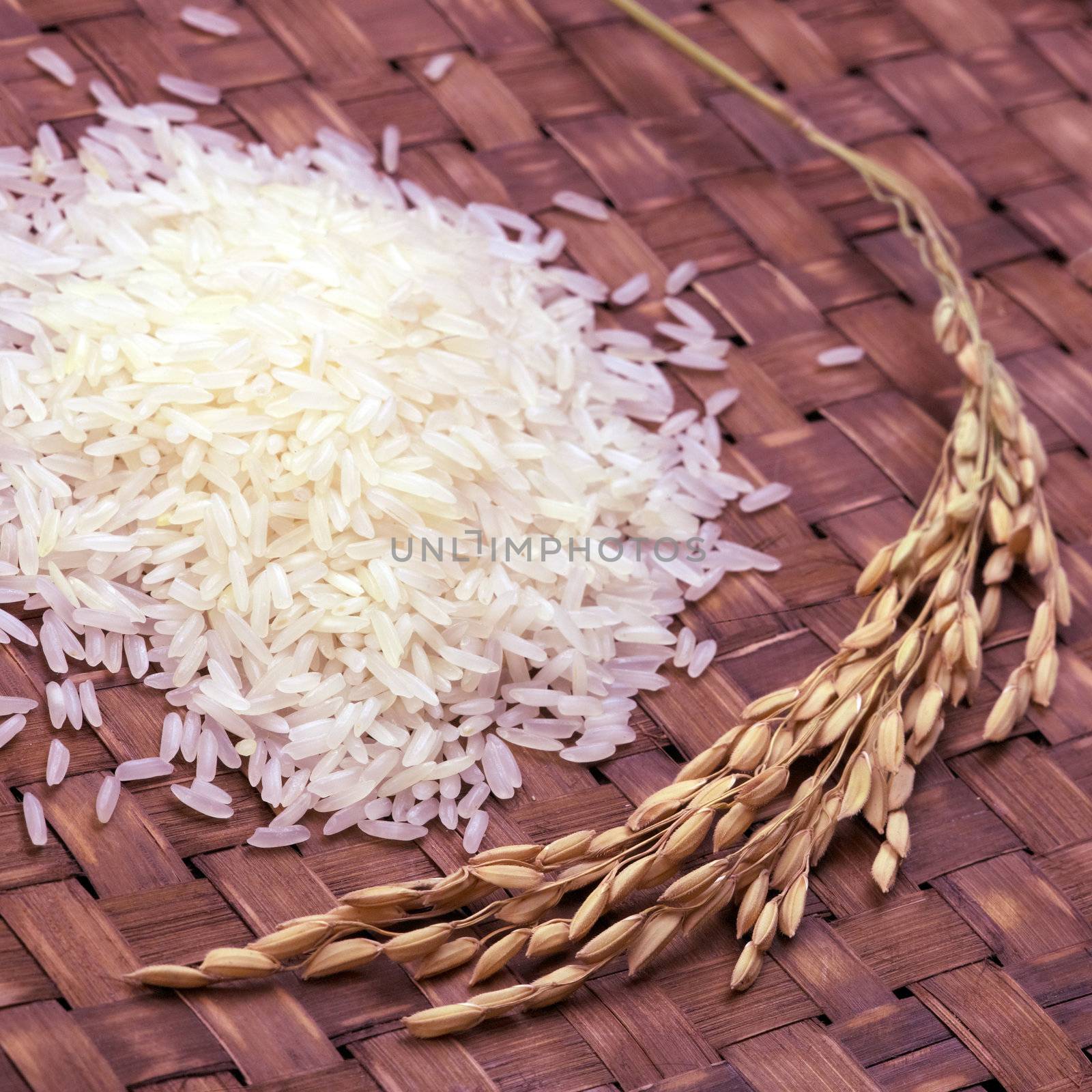 rice by zkruger