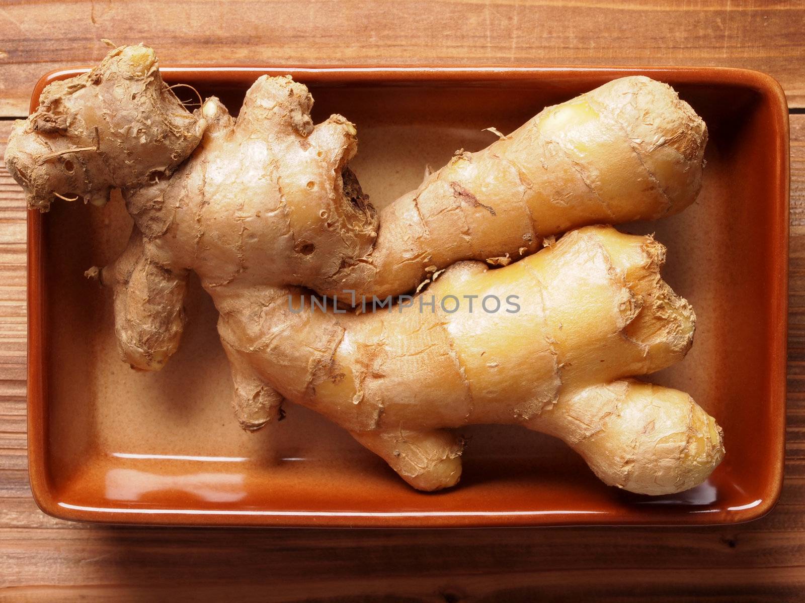 ginger on kitchen table