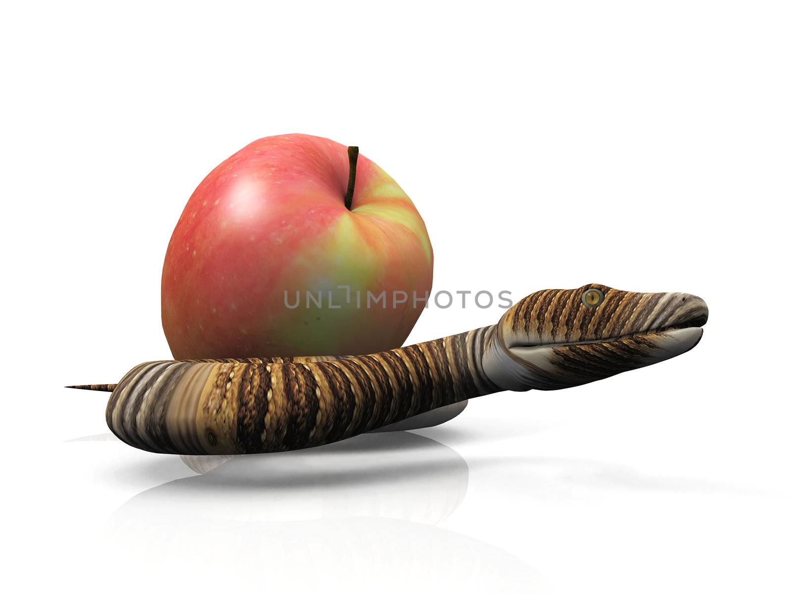 the snake and the apple