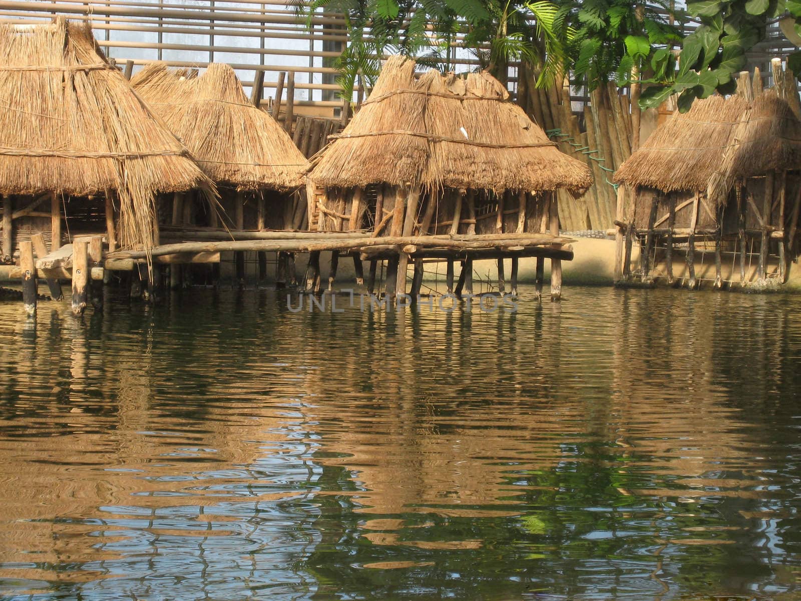 tropical huts