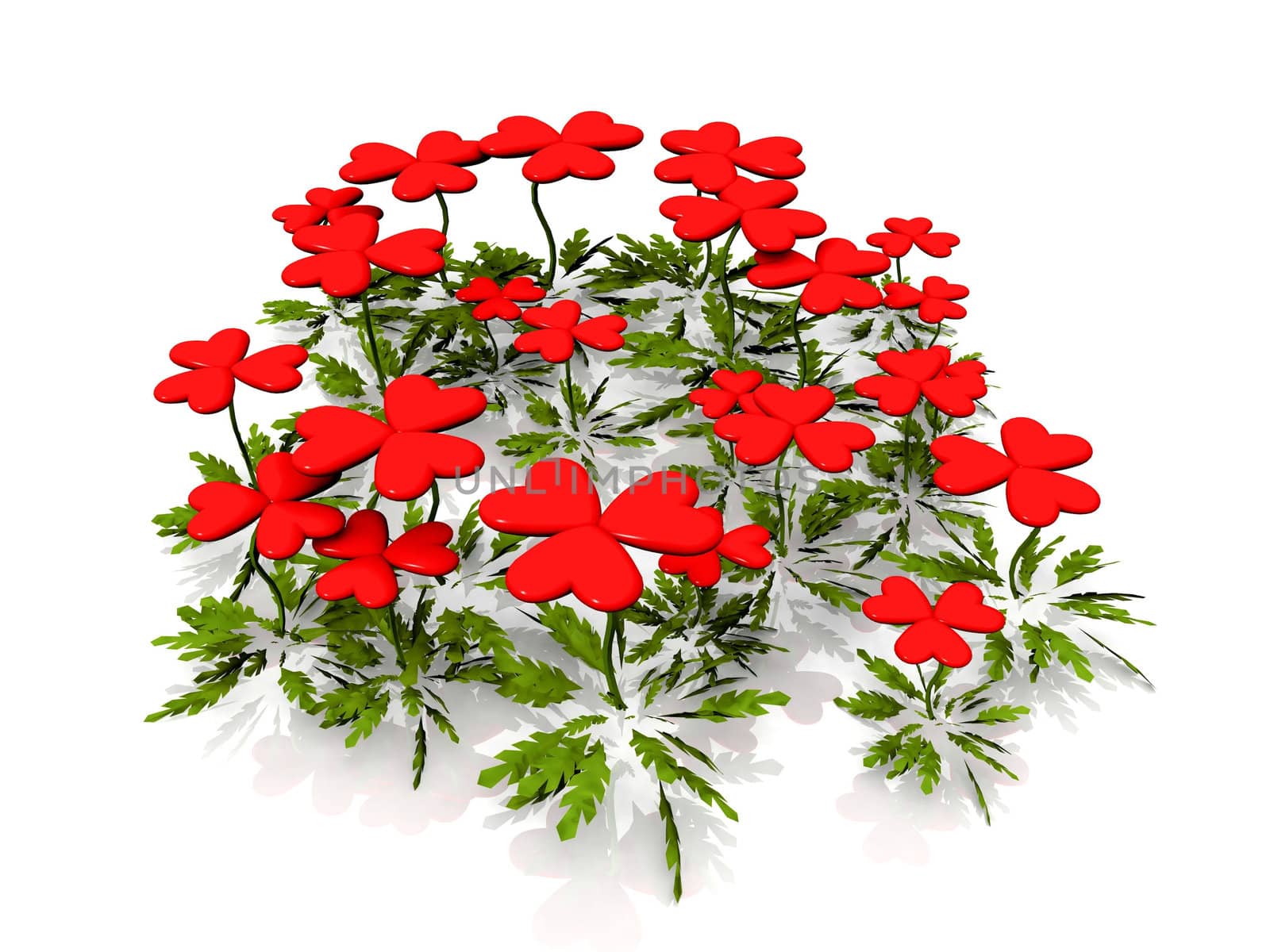 heart flowers on a white background