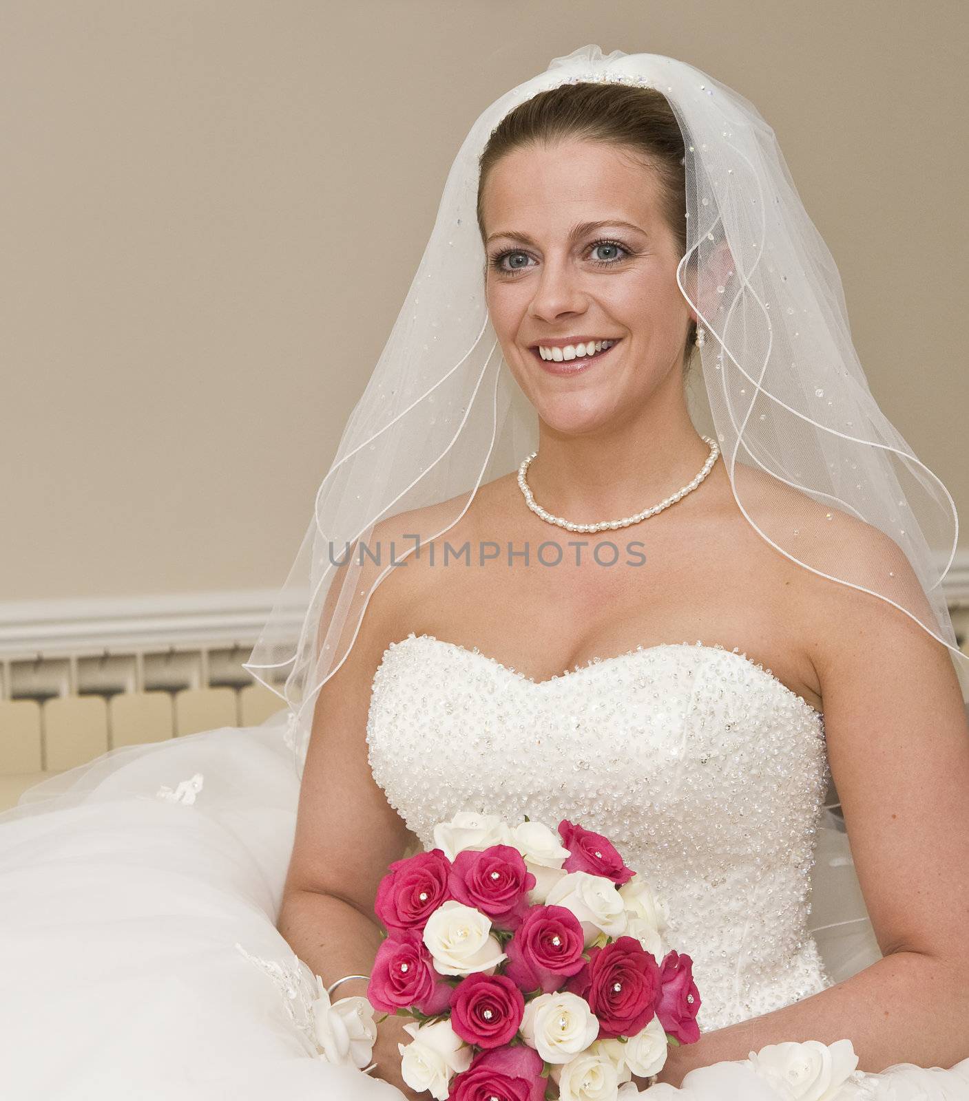 Beautiful young bride formal portrait