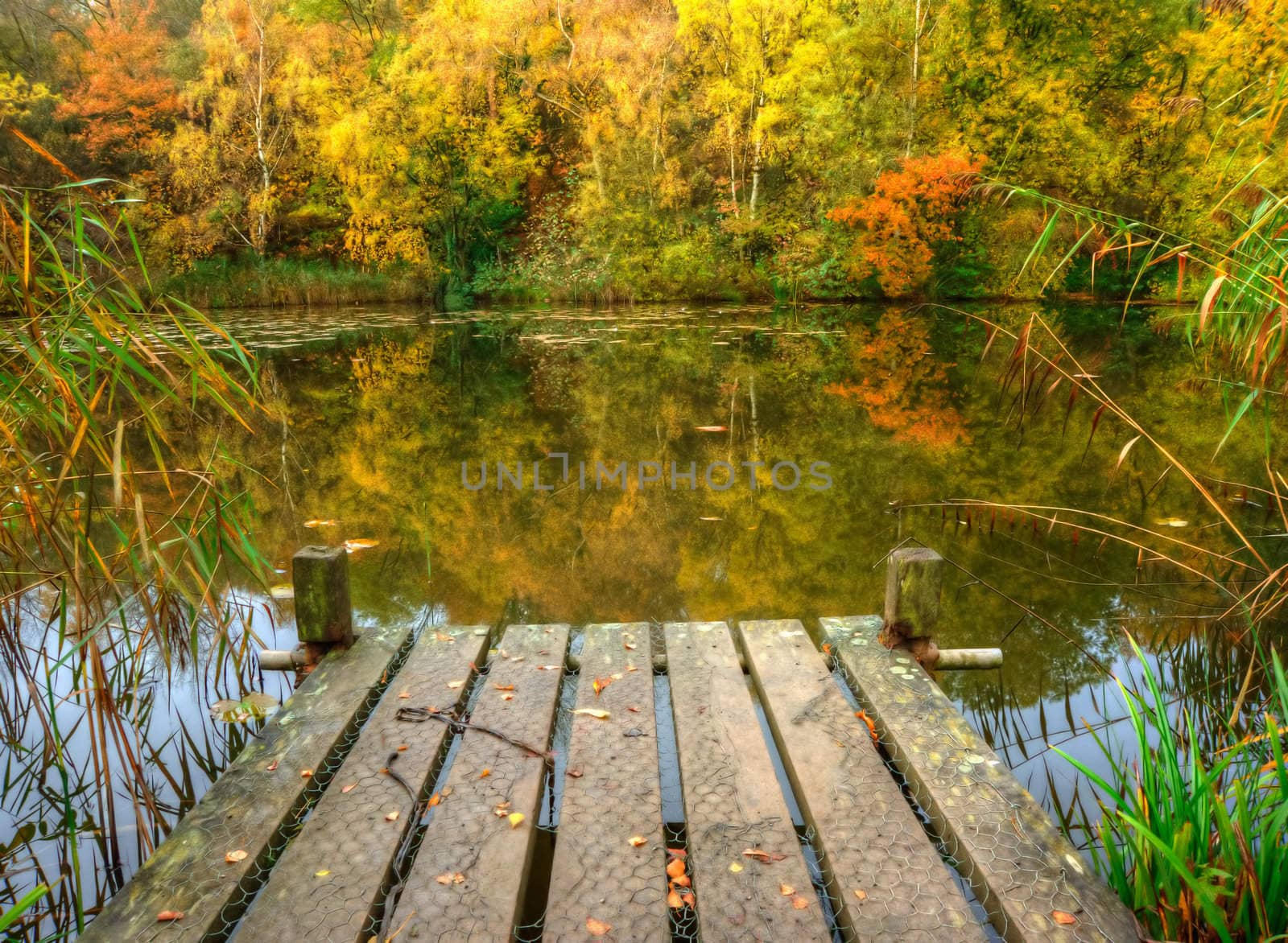 Beautiful vibrant colorful Autumn Fall scene landscape of trees reflected in calm lake with fishing jetty
