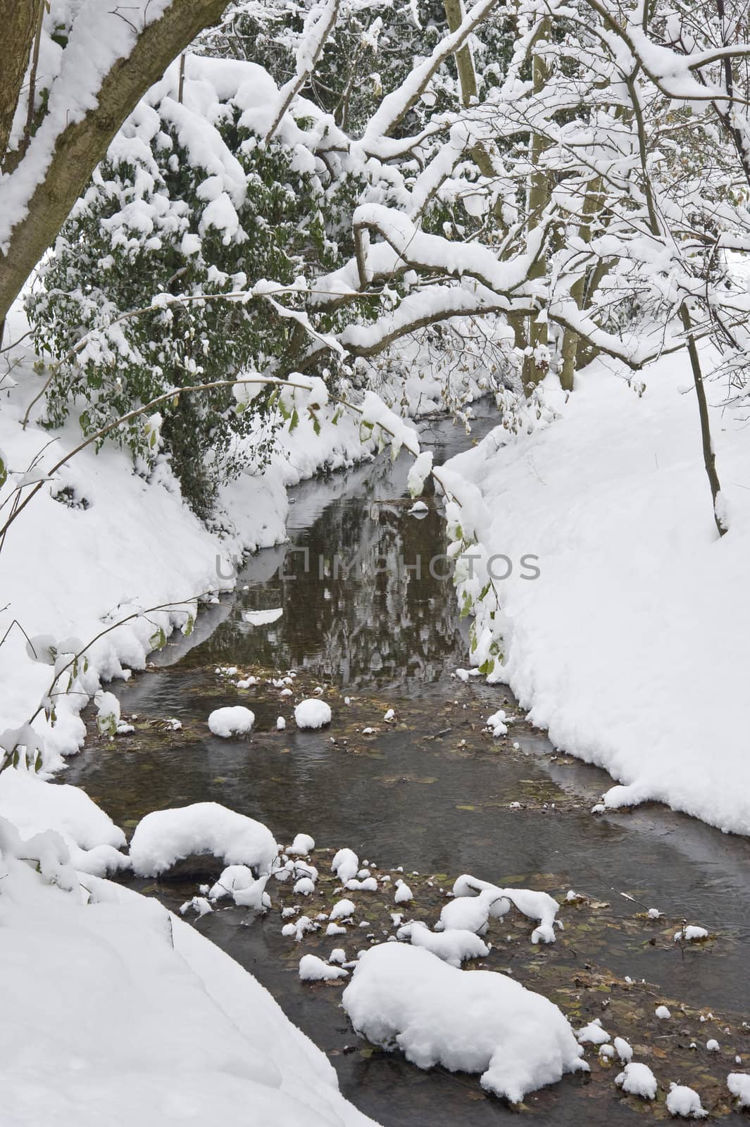 Stream running through Winter forest with deep snow by Veneratio