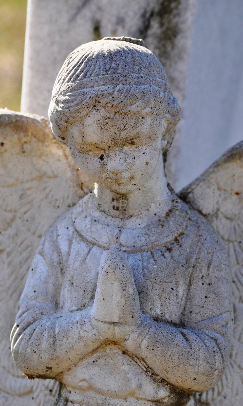 Gravesite - Angel - closeup