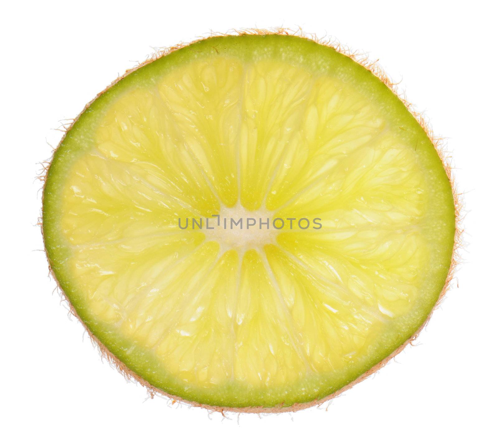 Genetic engineering - grapefruit inside of a kiwi isolated on white background