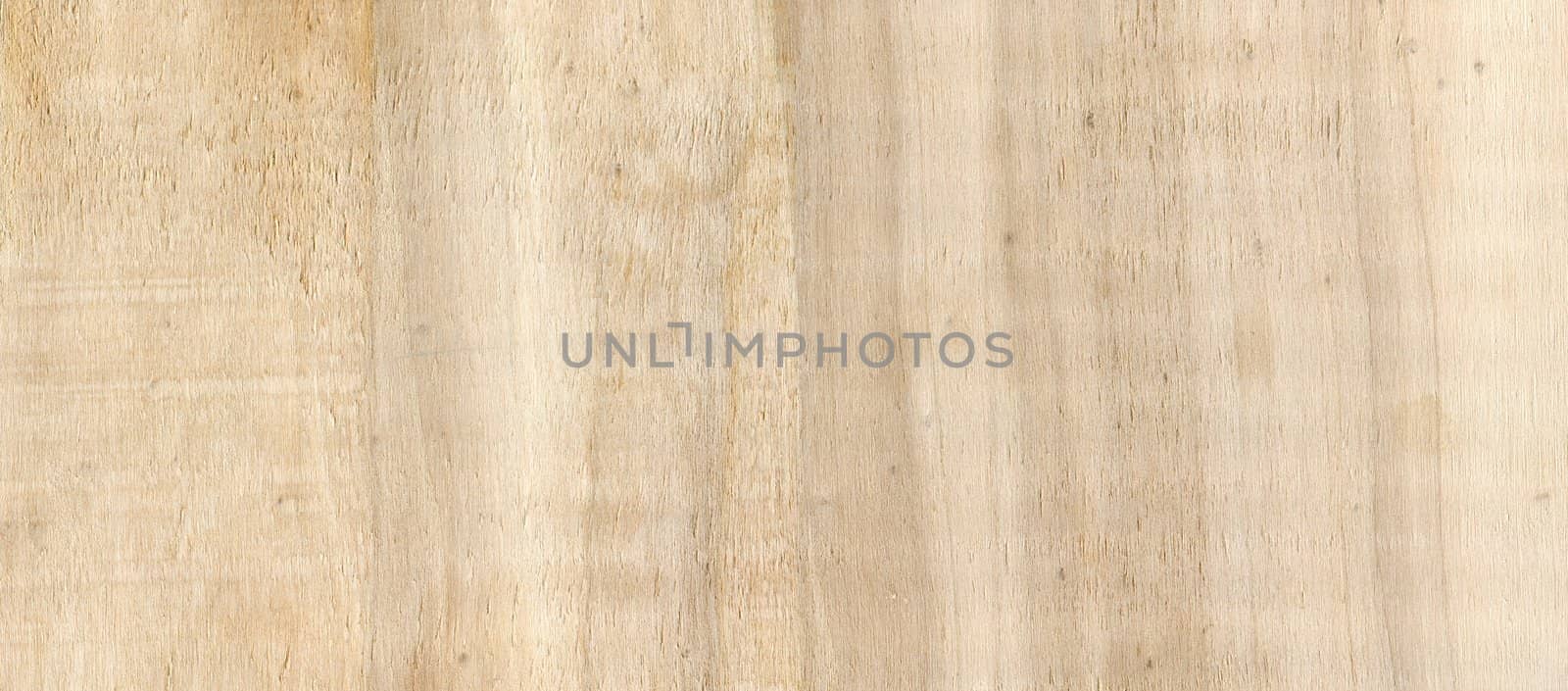 fine image of Natural Pine Wood Texture. close-up