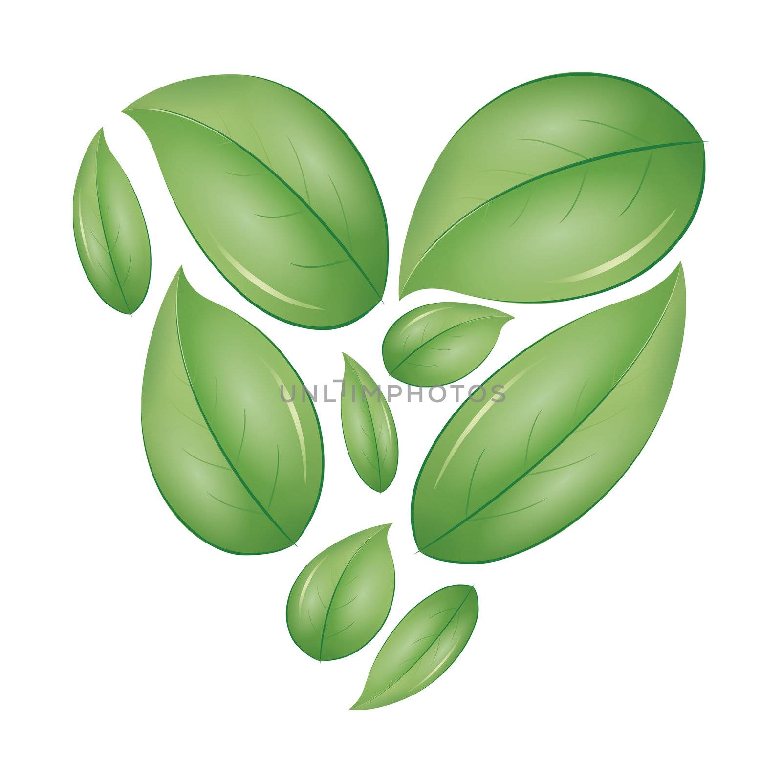 An image of a green heart of leafs
