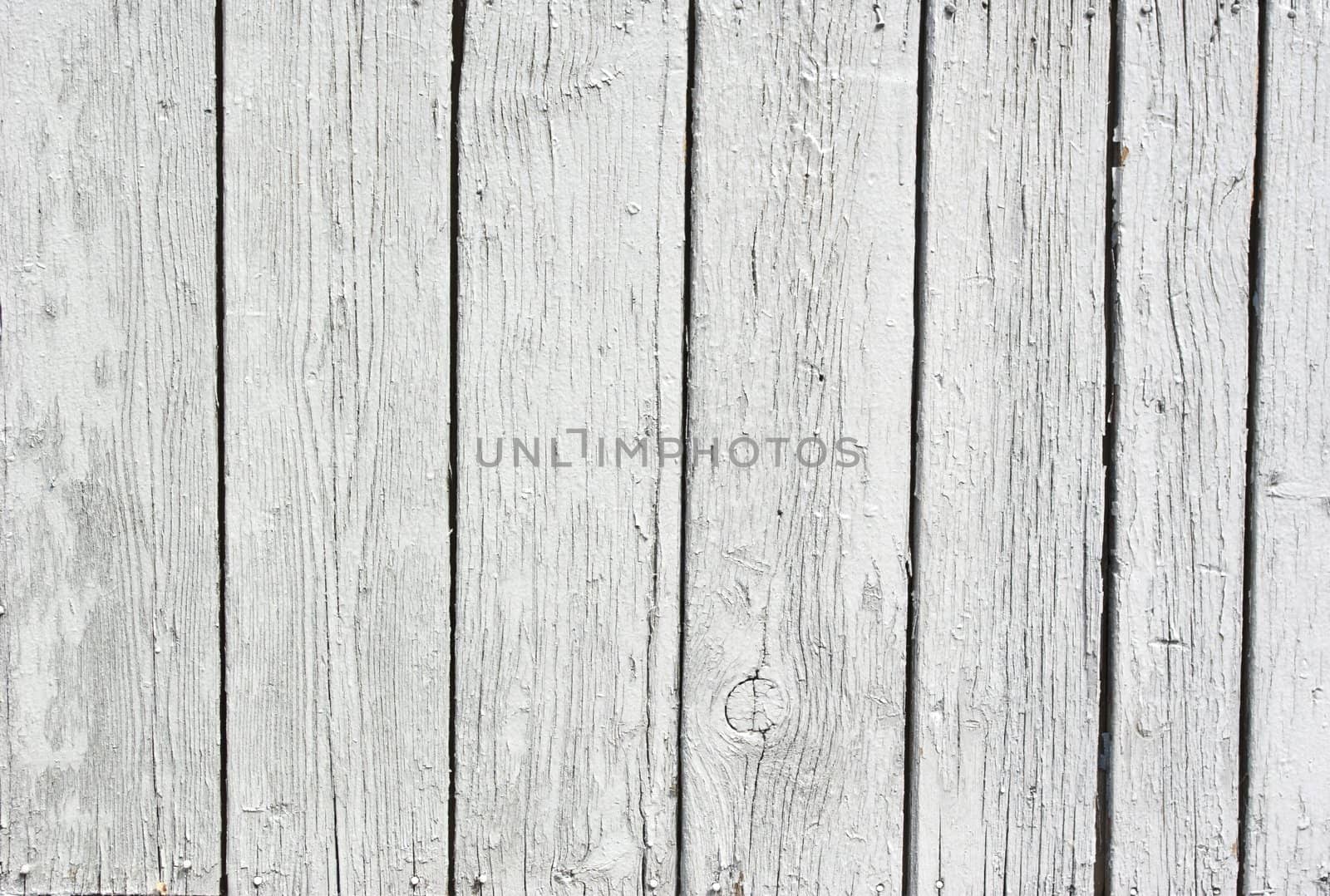 A background of weathered white painted wood