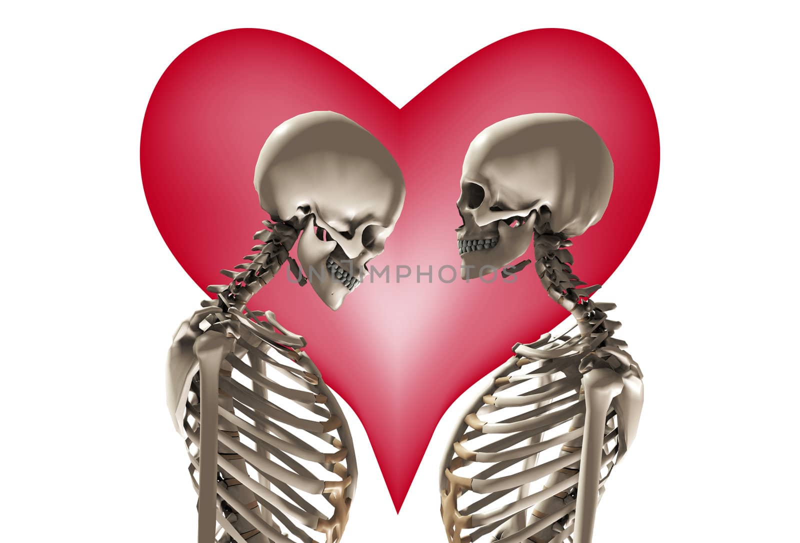 Skeletons With Love Heart  by harveysart