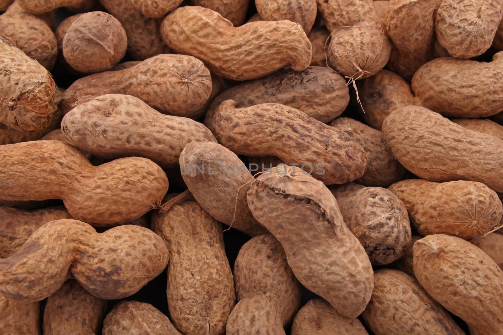 Peanut or groundnut in it's shell ready to eat,