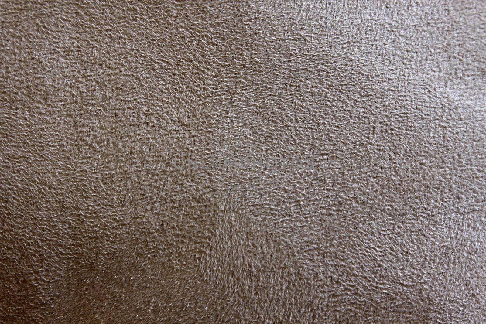 A close-up of a soft fluffy beige texture.