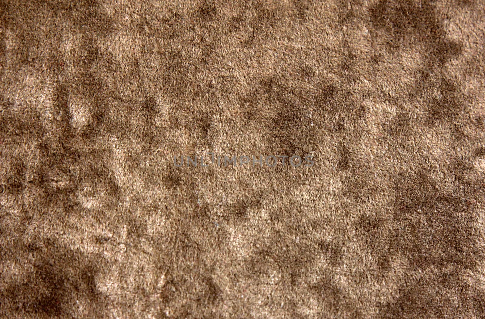 A close-up of a soft fluffy beige texture.
