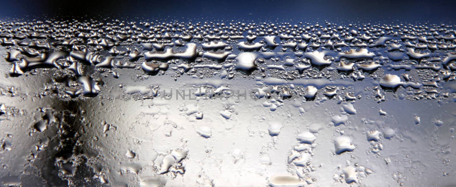 Condensation Close-up
 by ca2hill