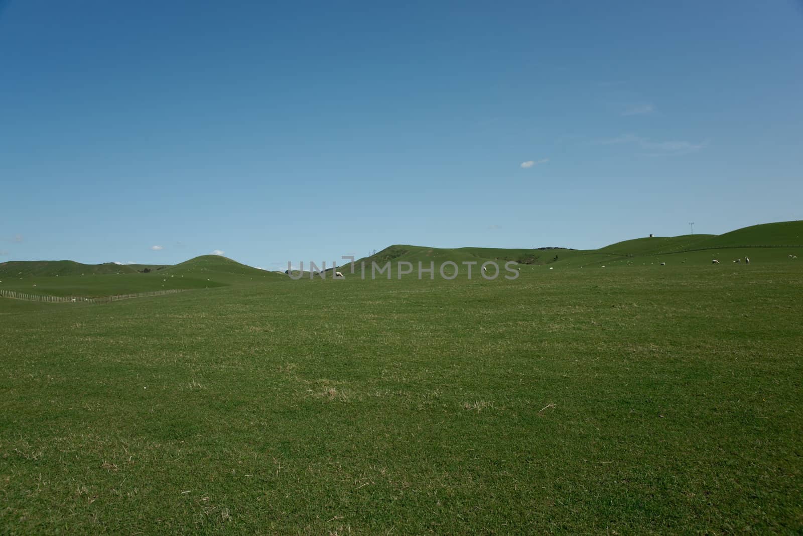 Rural grassland landscape. by brians101