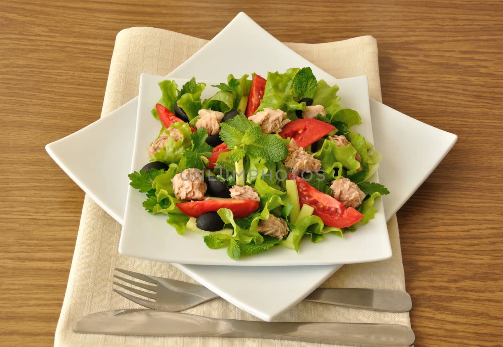 Tuna salad with mint and mixed vegetables  by Apolonia