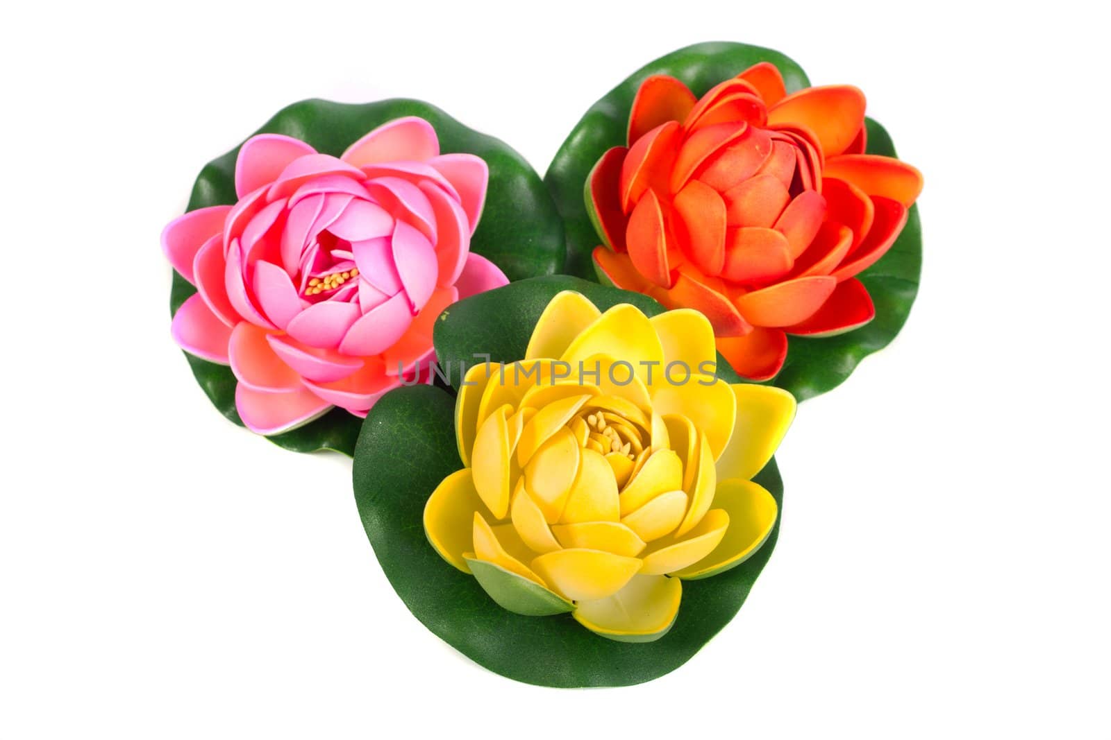 Close up view of three fake water lily flowers isolated on a white background.