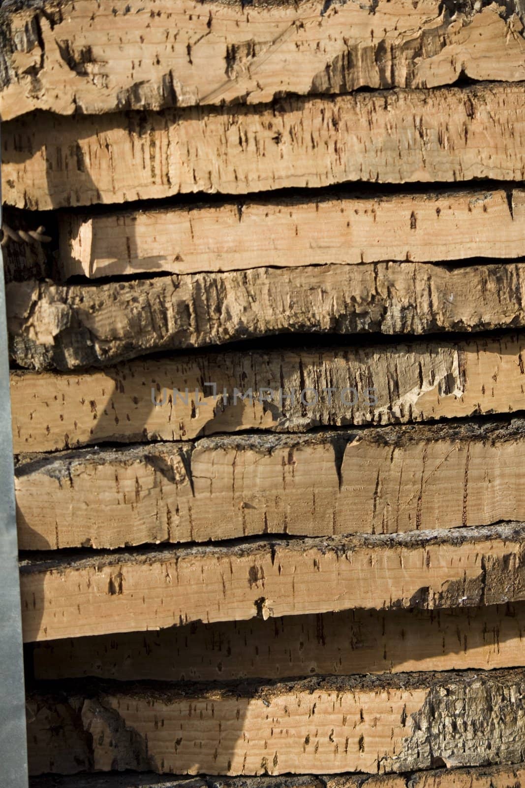 View of a pile of cork bark removed from the tree.