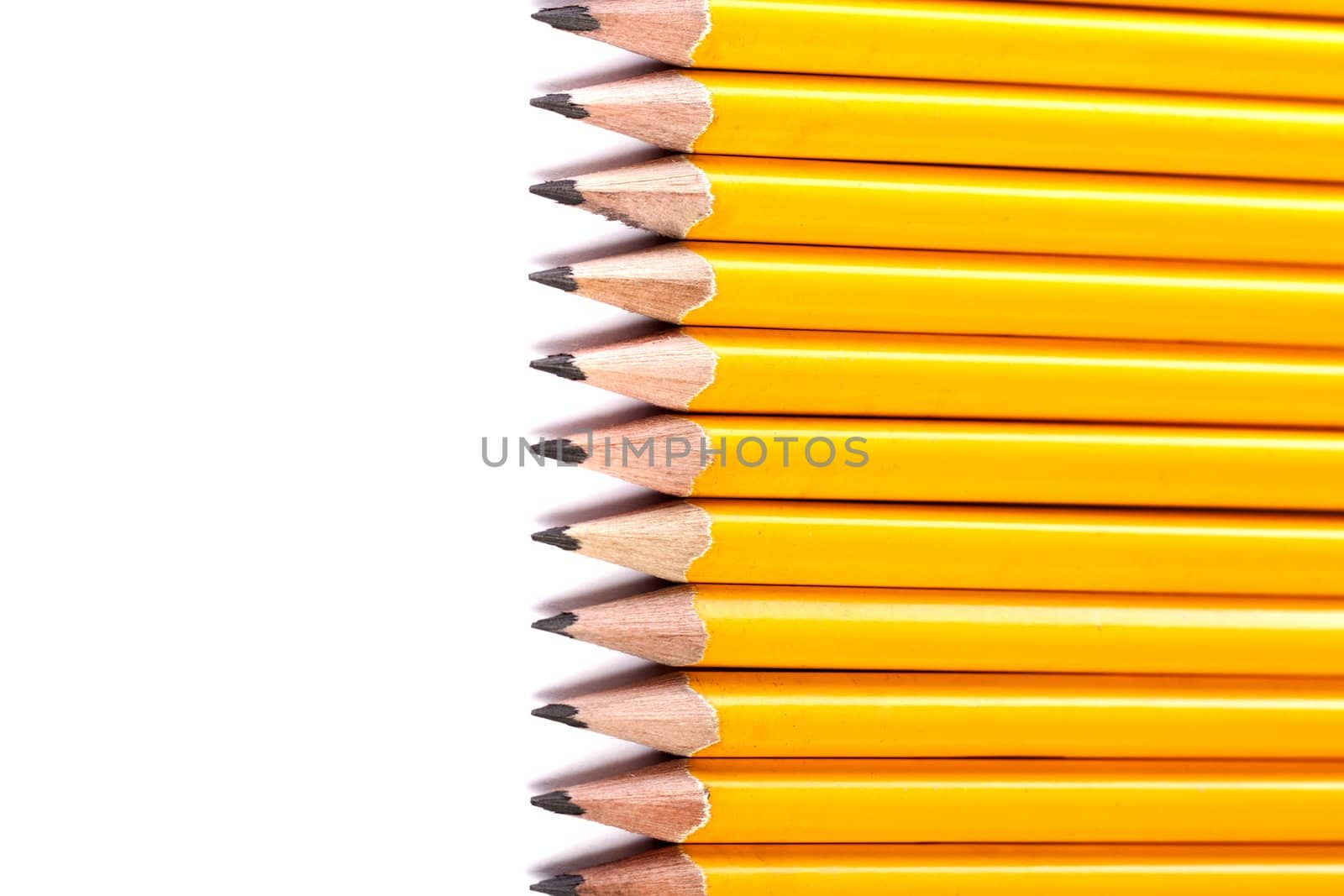 Close up view of a bunch of yellow pencils isolated on a white background.