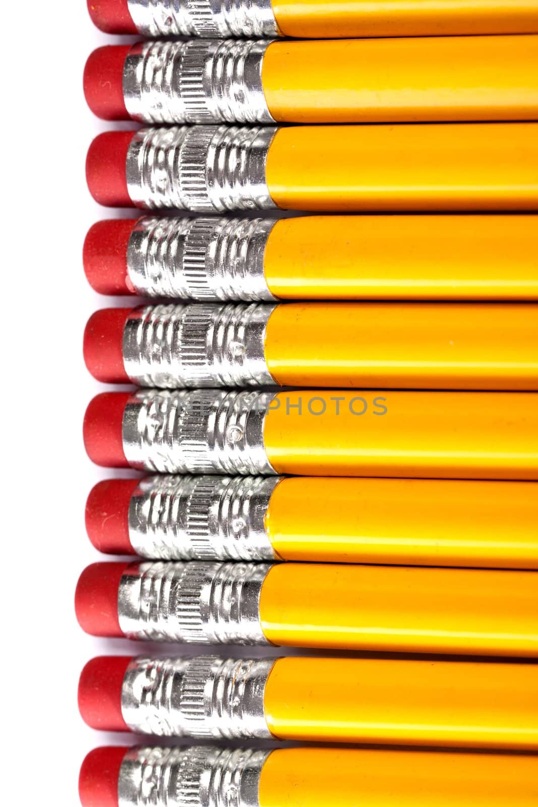 Close up view of a bunch of yellow pencils isolated on a white background.