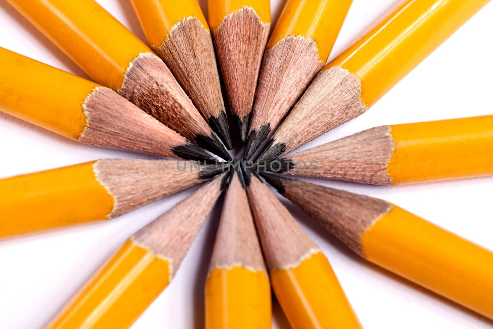 Close up view of a bunch of yellow pencils isolated on a white background.