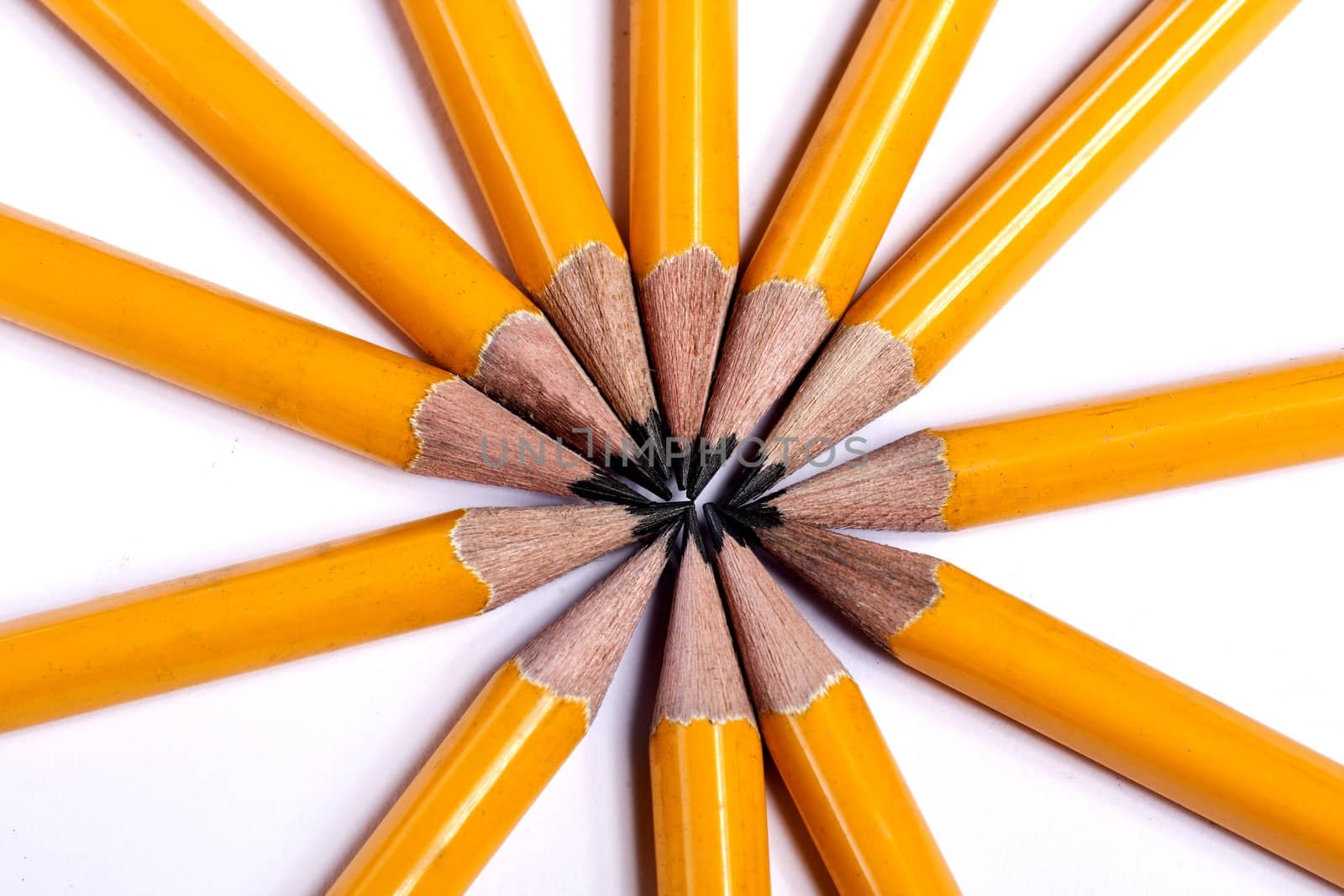 Close up view of a bunch of yellow pencils isolated on a white background.