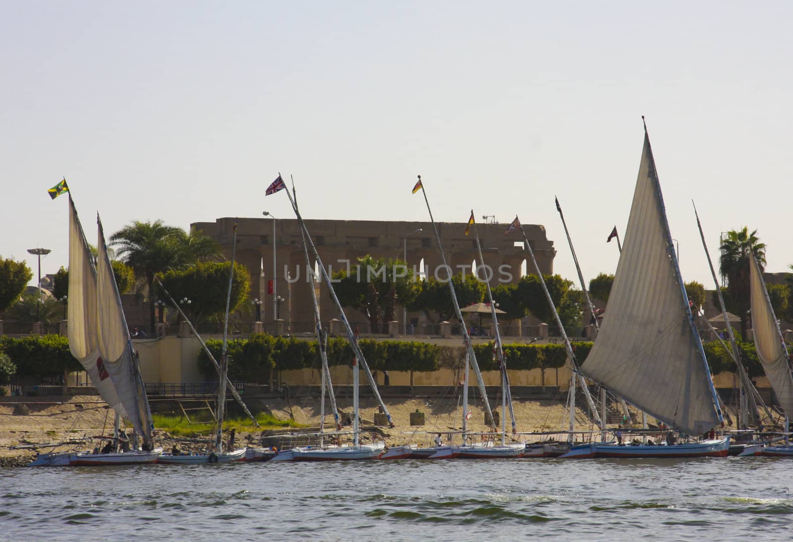 Felucca sailing boats, river Nile Egypt, Luxor Temple in the background