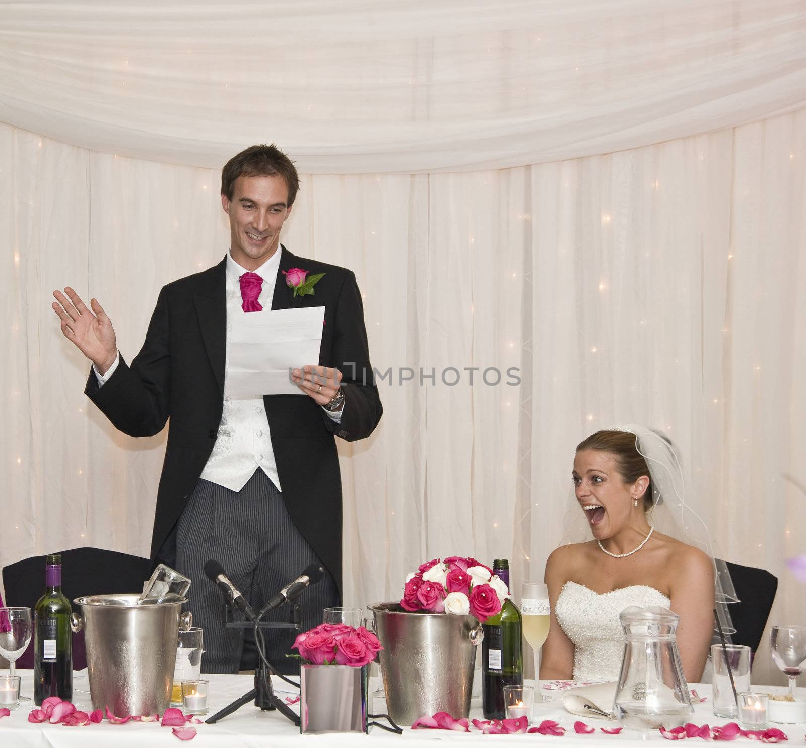 Attractive young bride grimaces at groom's speech during real wedding reception