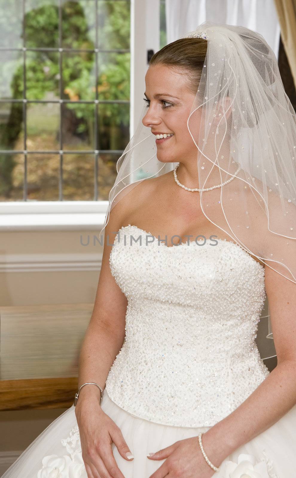 Beautiful young bride formal portrait