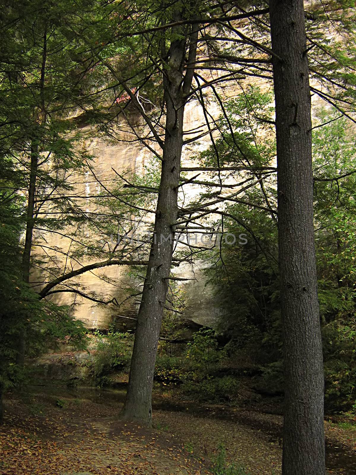 A photograph of Hocking Hills State Park located in the state of Ohio in the United States.