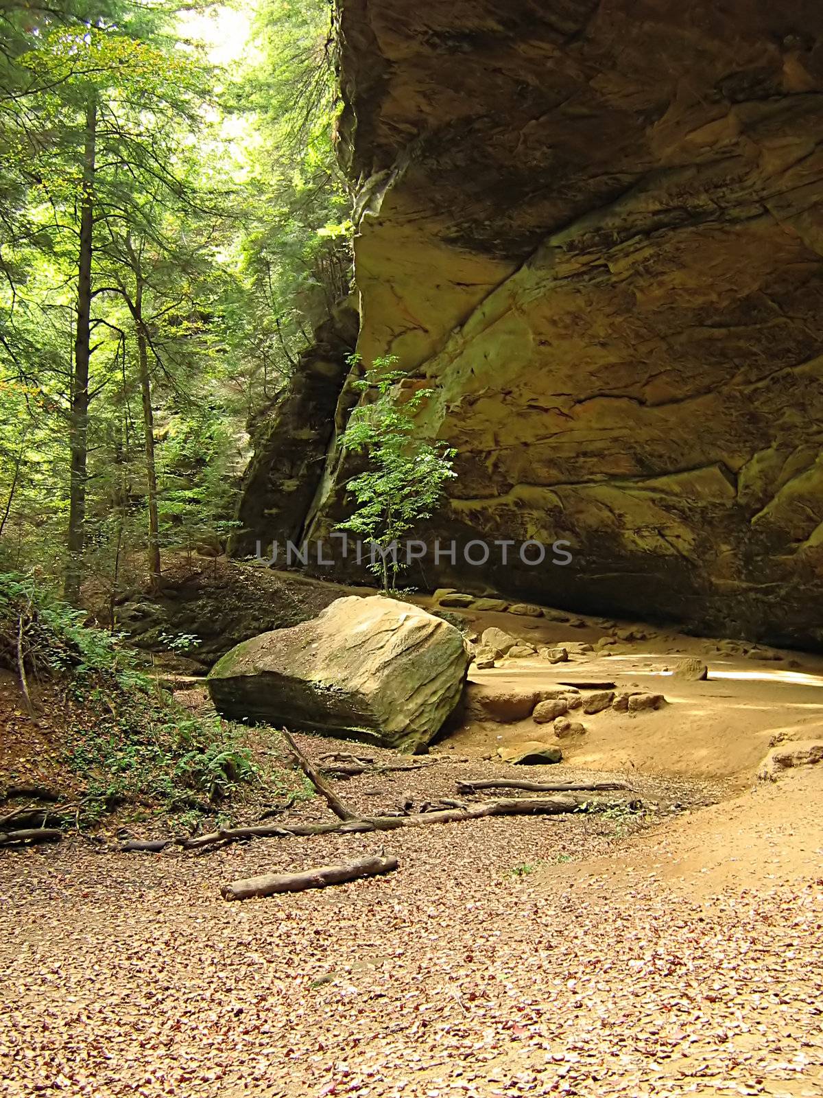 A photograph of Ash Cave at Hocking Hills State Park located in the state of Ohio in the United States.