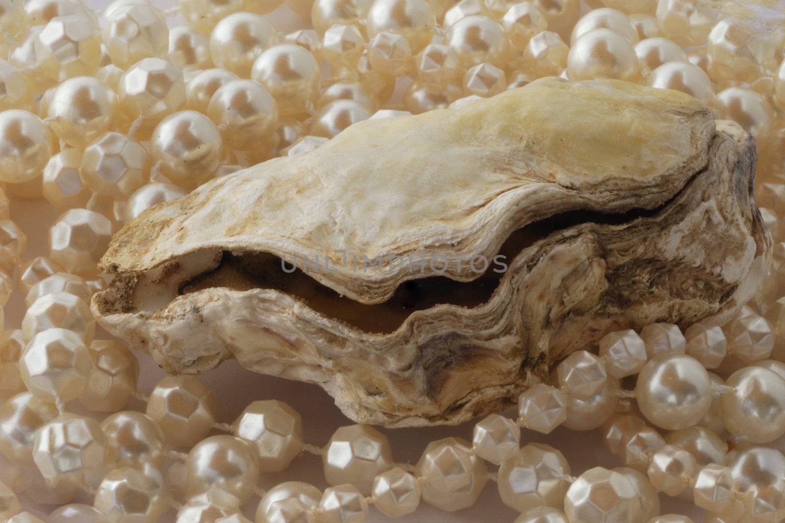 Oyster over pearls by pauws99