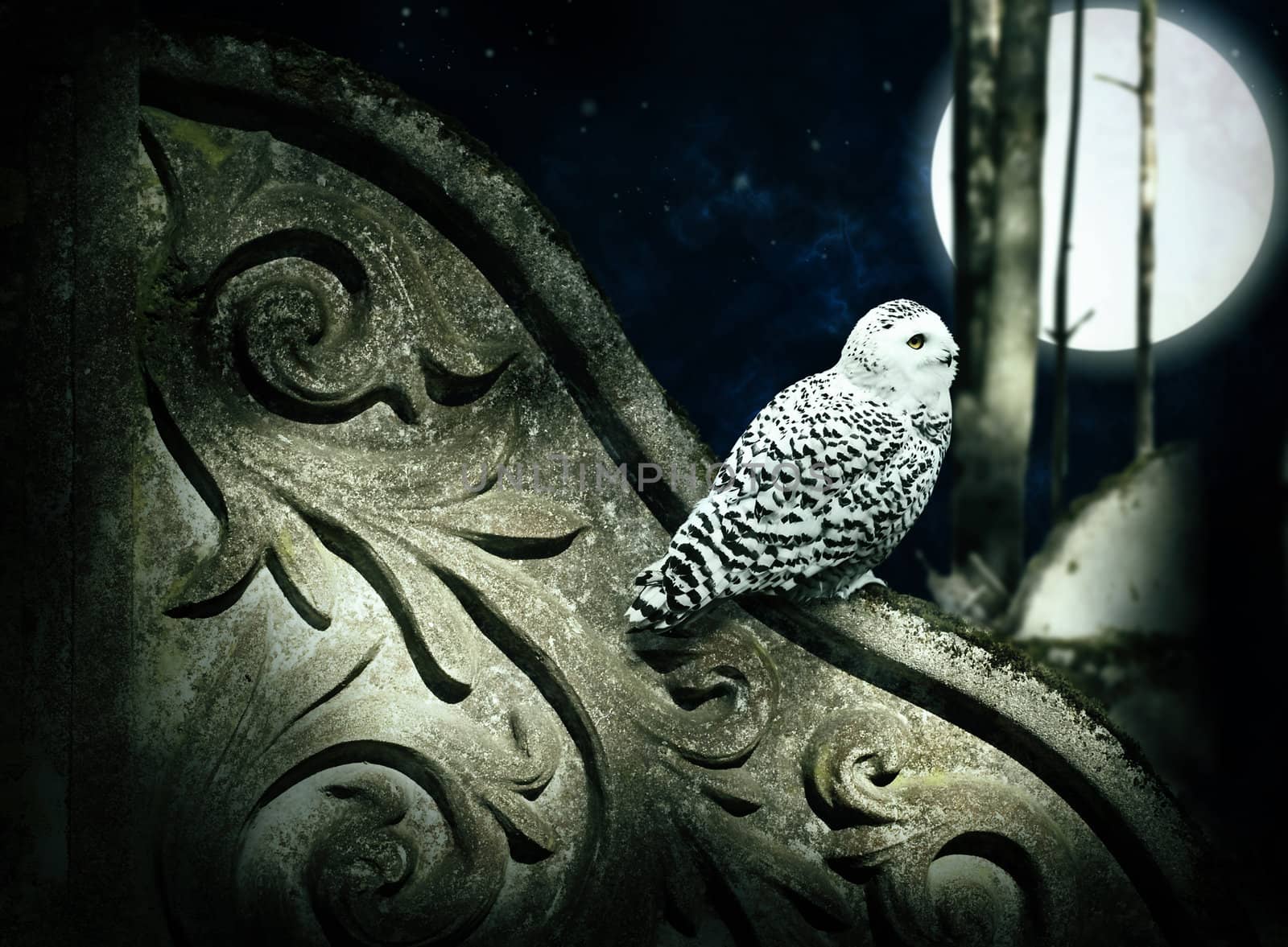 Magic moon night in forest with ancient decorated wall and white owl