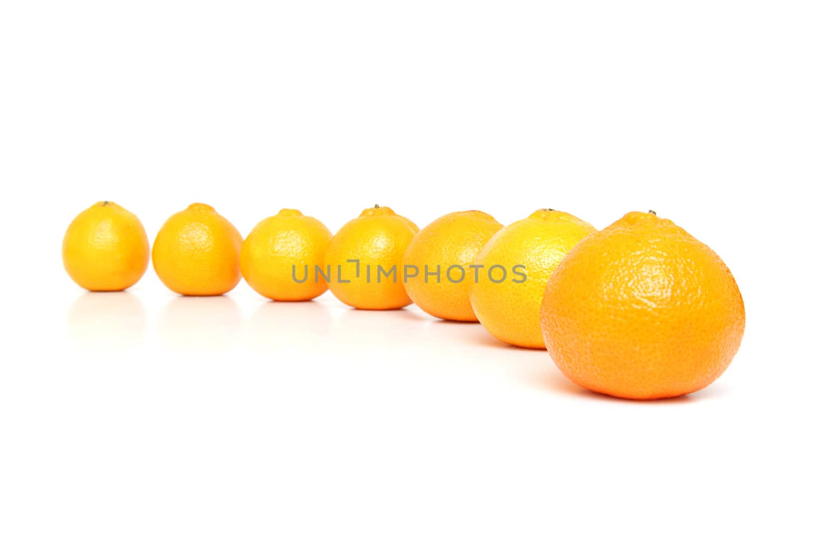 A row of ripe mandarins isolated on white background