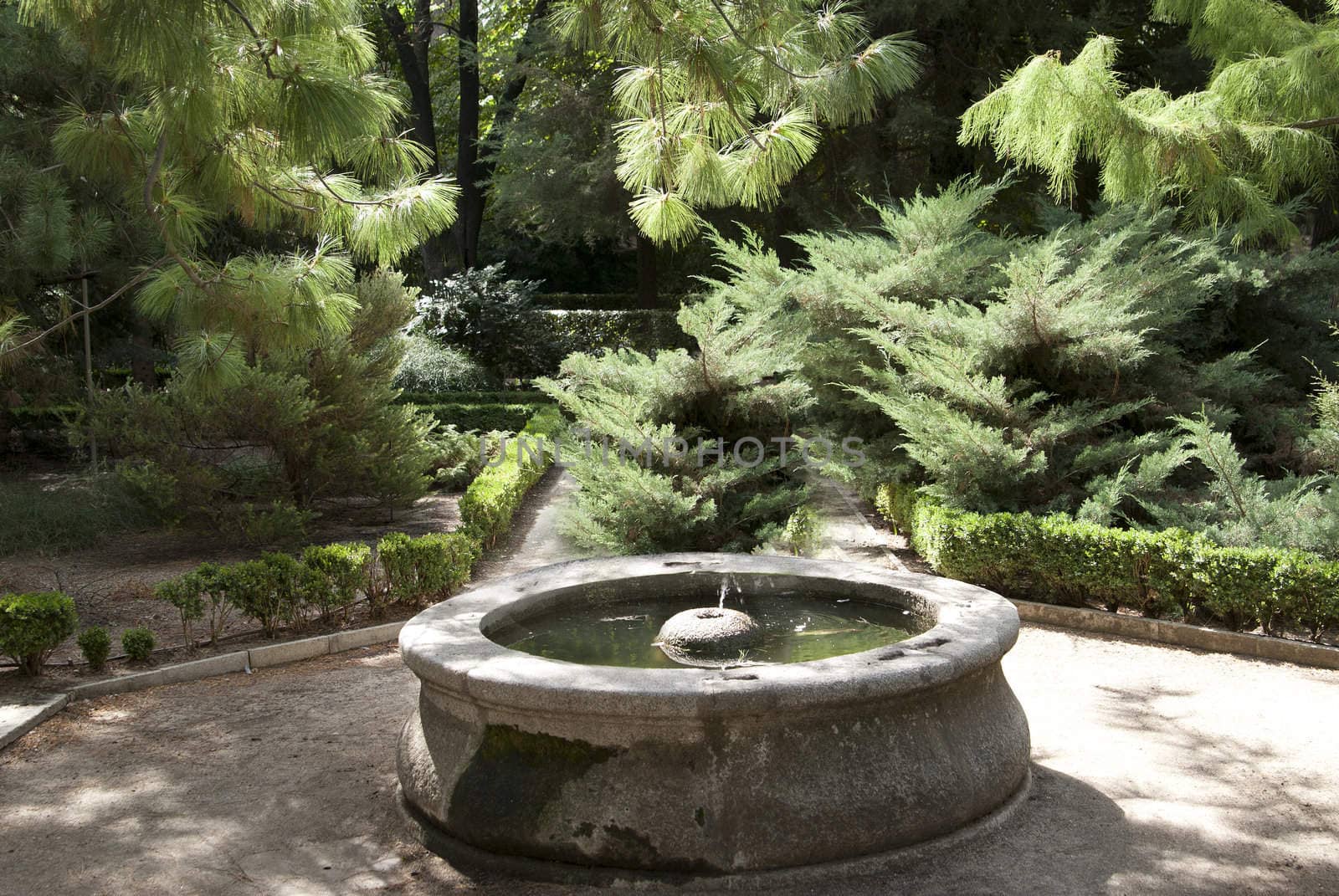 antique old fountain in the garden among fir trees by Larisa13