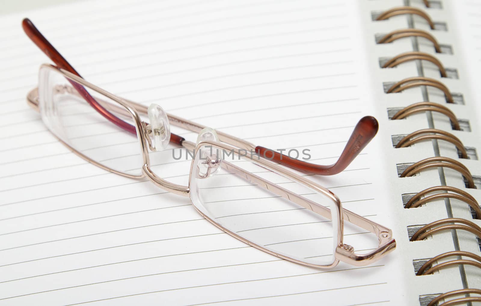 Ruled diary and a pair of reading glasses