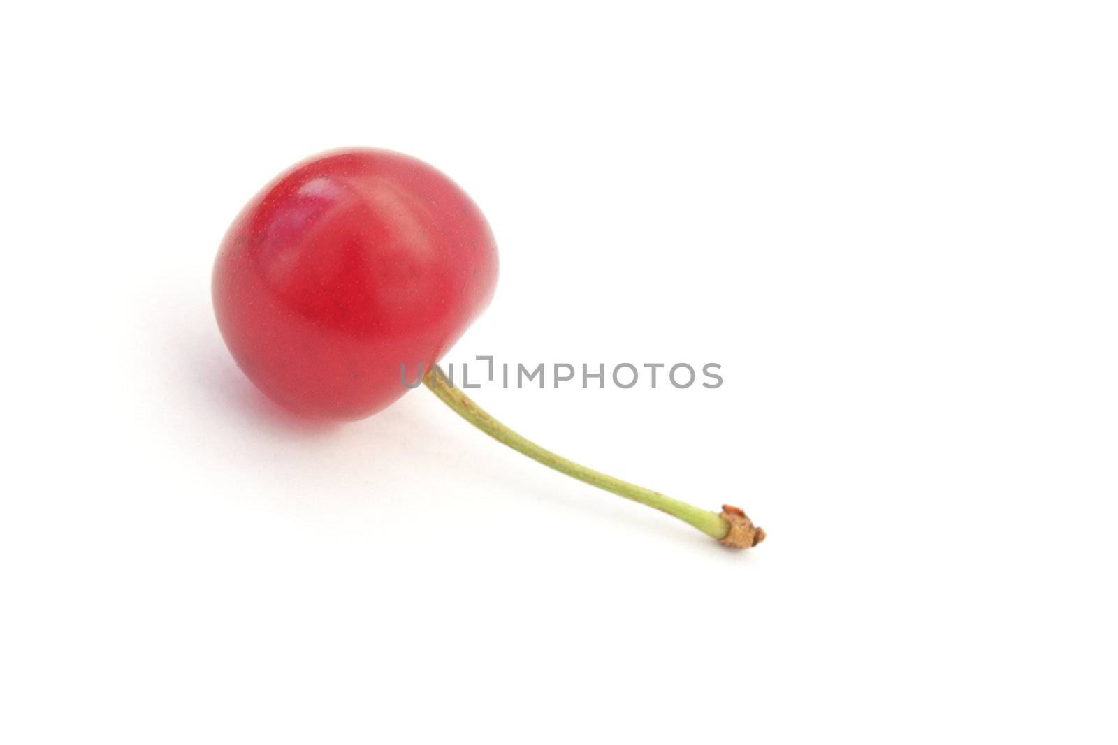 Ripe cherry isolated on white by pulen