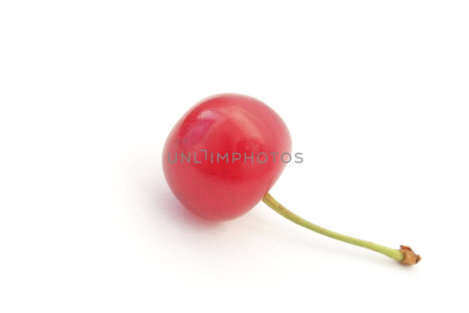 Single ripe cherry isolated on white background