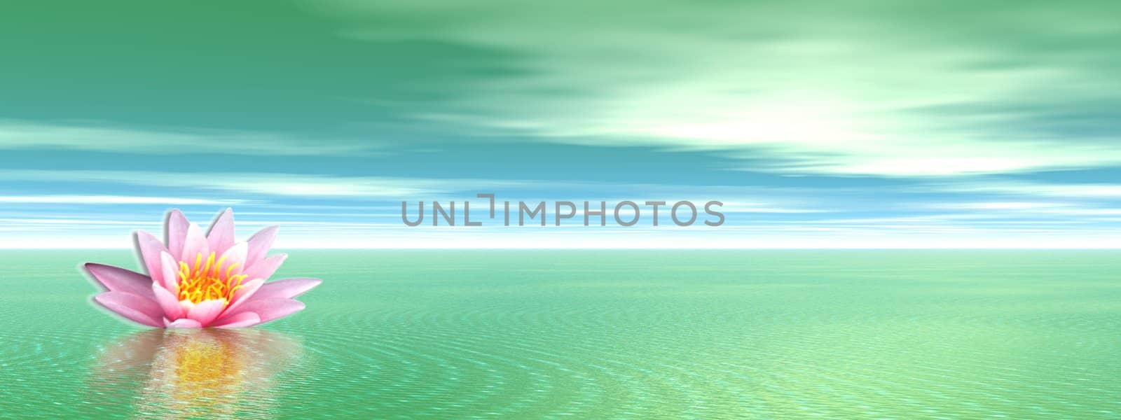 Lily flower in green ocean by Elenaphotos21