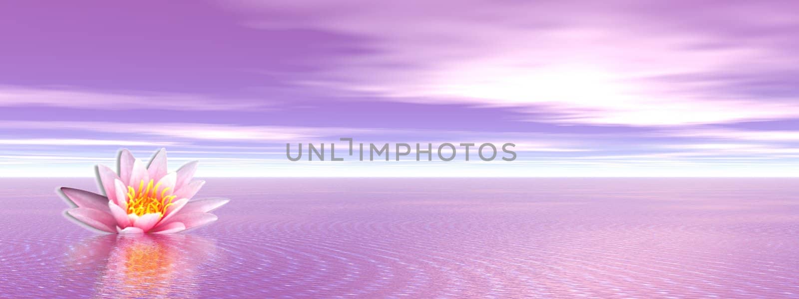Lily flower in violet ocean by Elenaphotos21