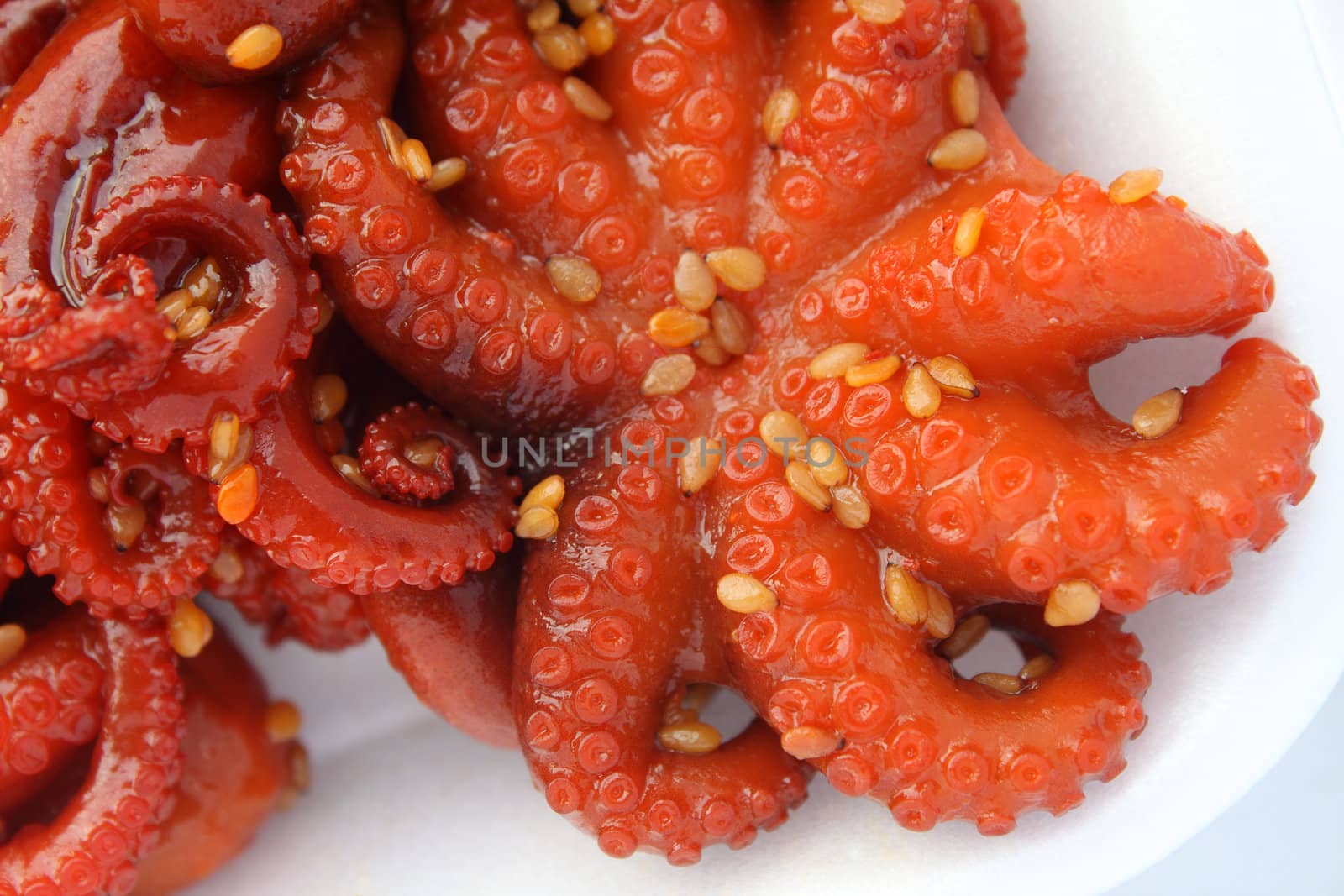 Marinated baby octopus with sesame seeds by pulen