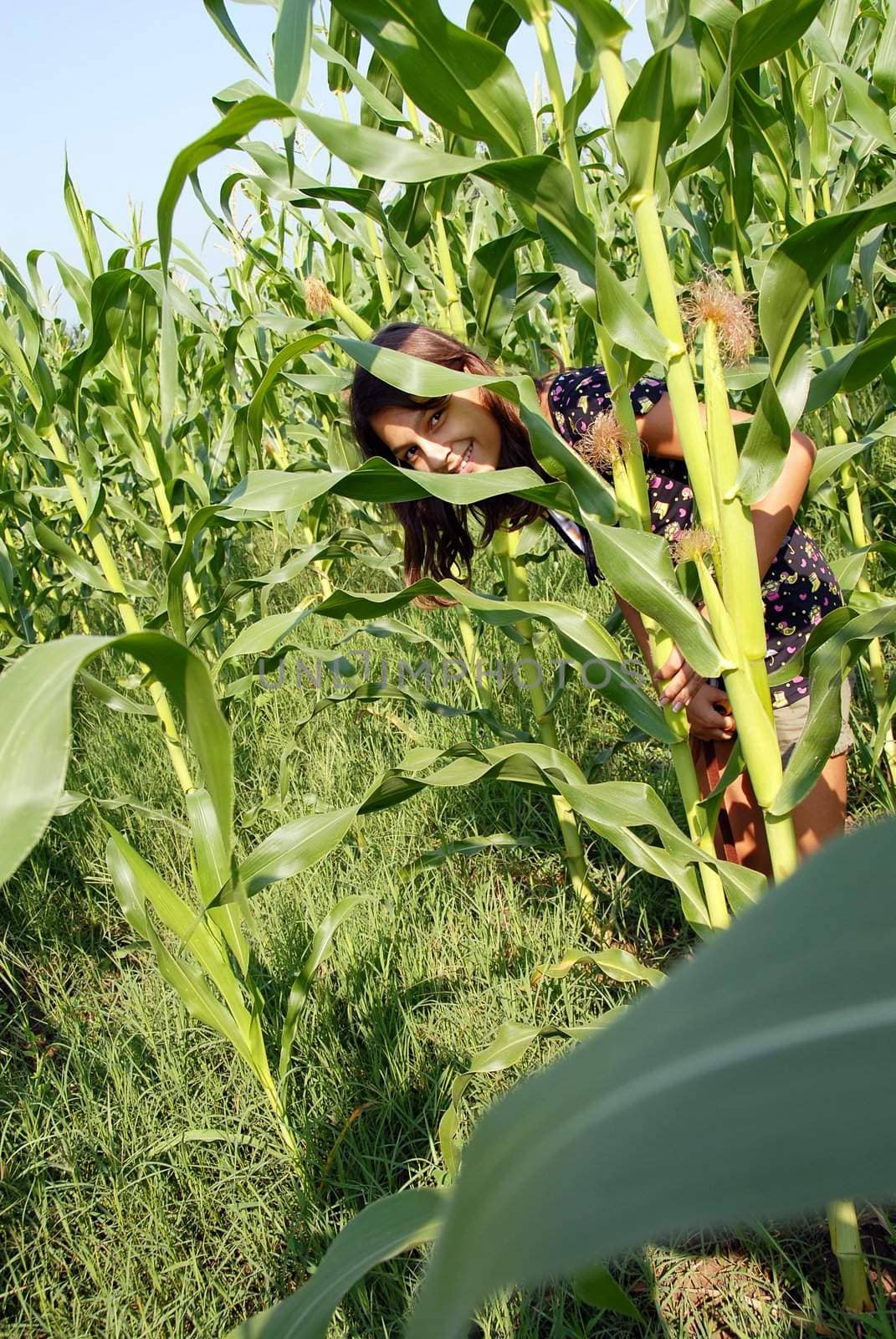 teenage girl hiding on corn field smiling
