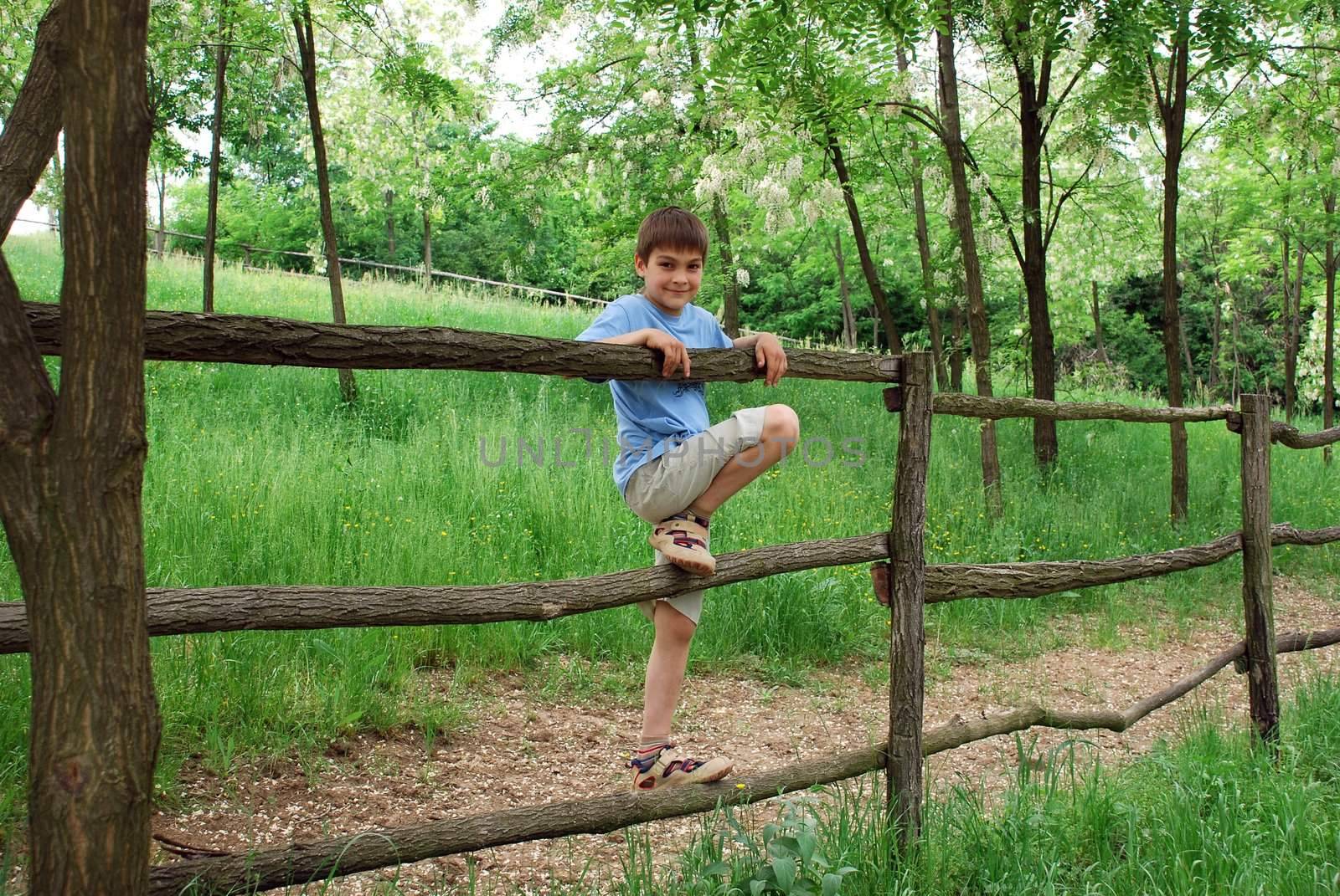 young smiling boy on fence outdoor over green natural countryside background