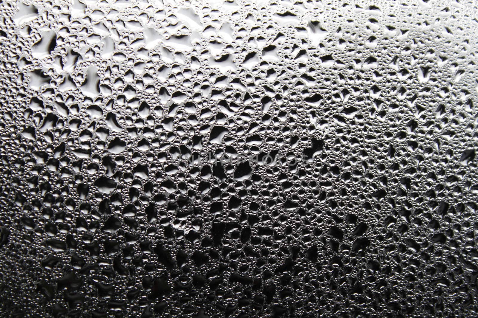 Drops of dew on the window glass
