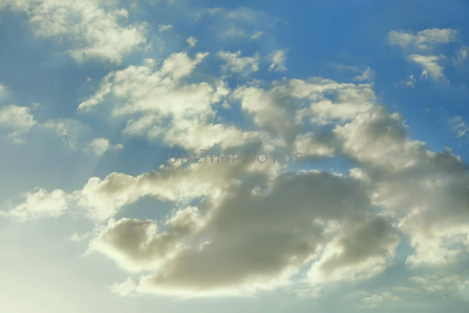 Light gray clouds on the background of a blue sky