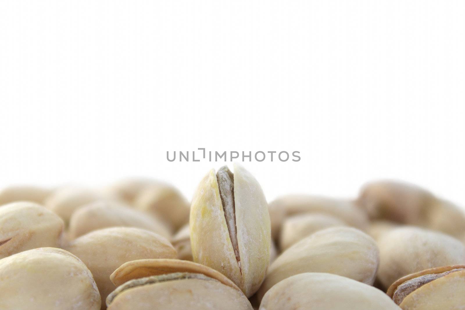 Single standing pistachio among lying ones on white background