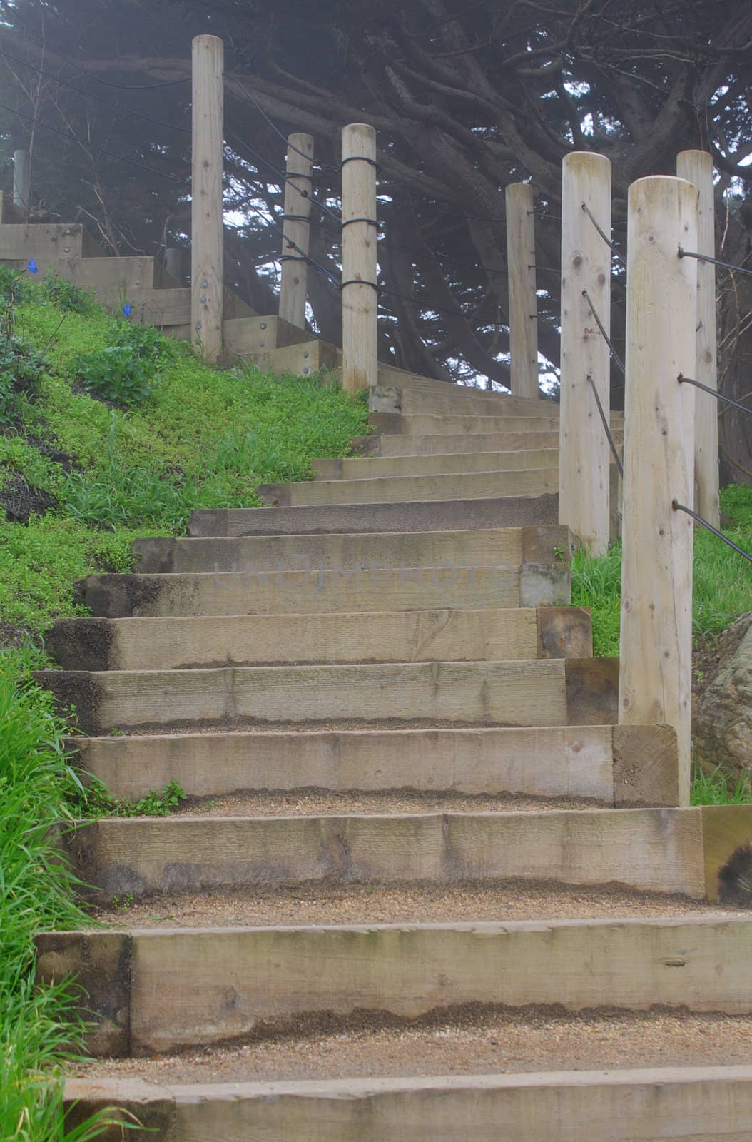 Photo of steep wooden stairs in foggy day