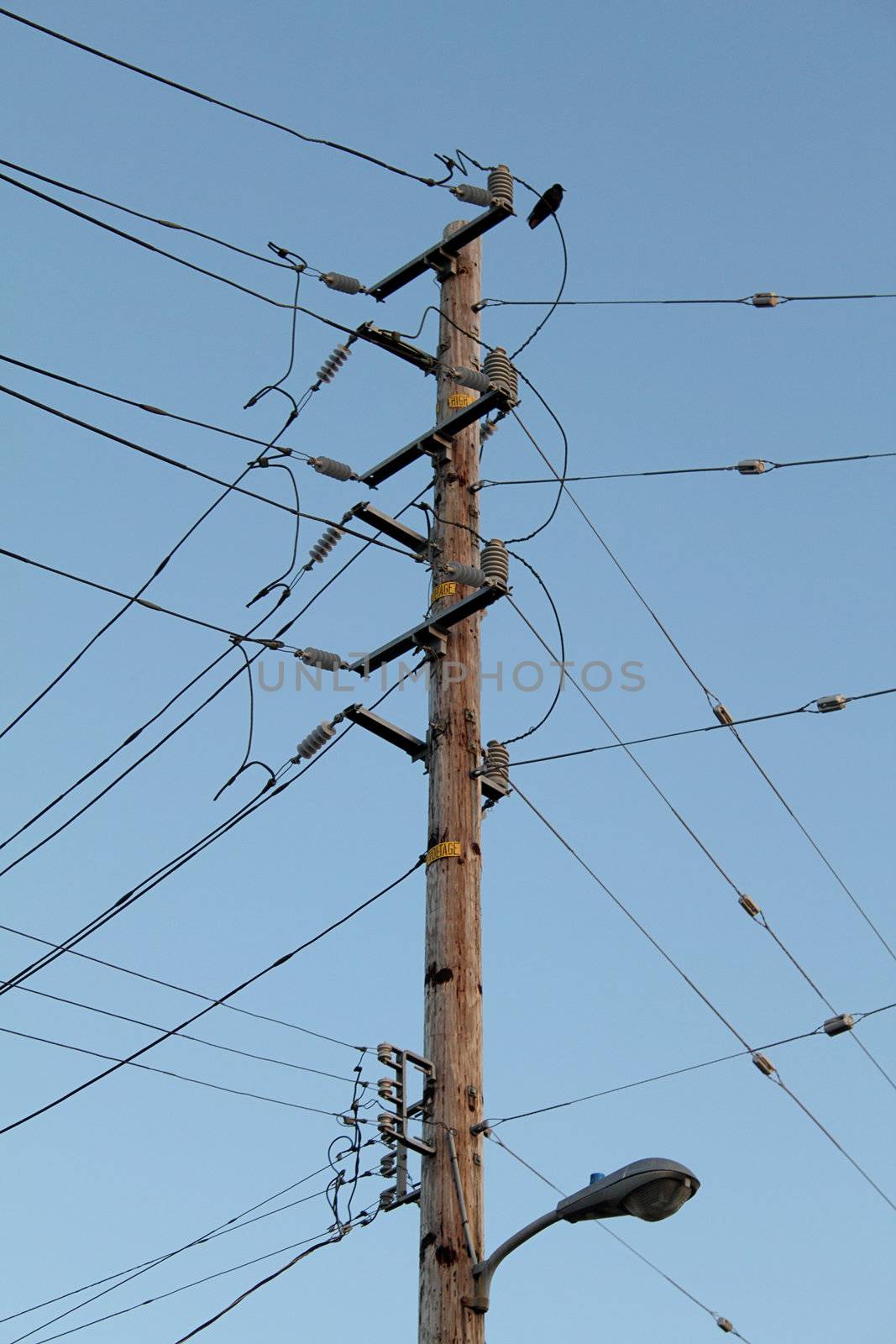 Telegraph pole with a lot of wires over blue sky