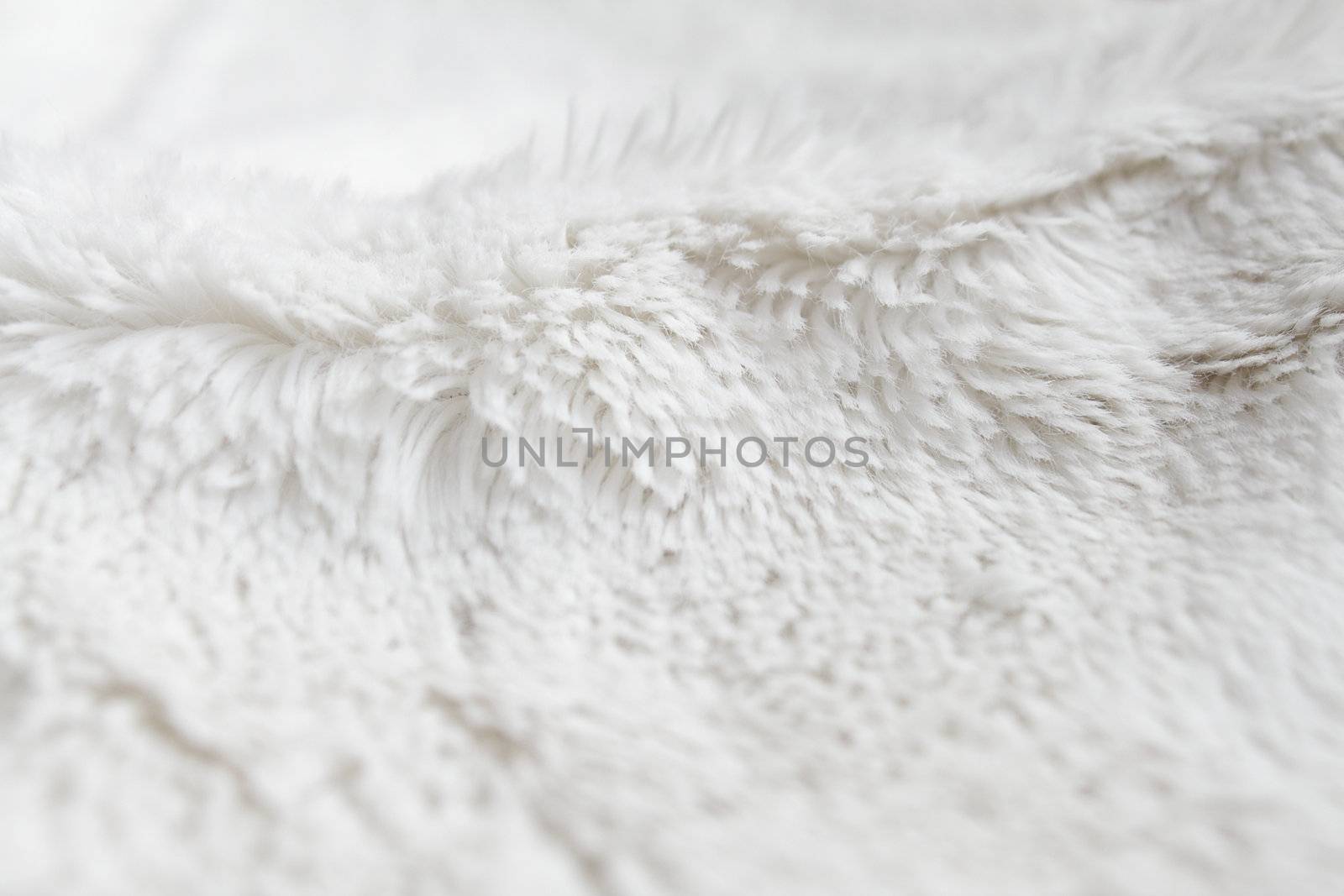 White terrycloth by pulen